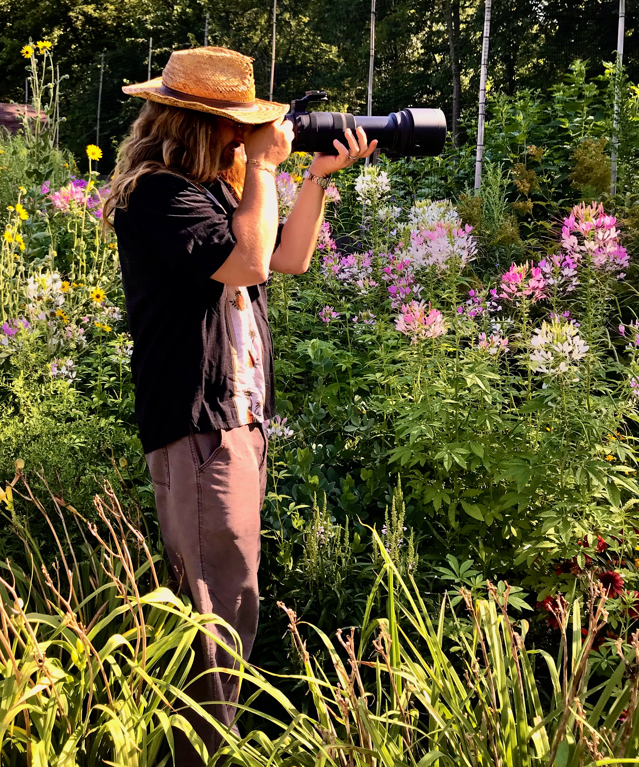 Todd photographing in a flower garden